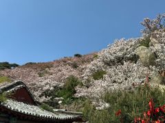 -泰山风景名胜区