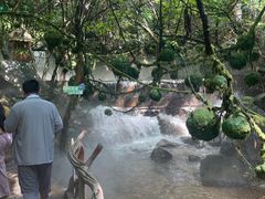 -牛鱼嘴原始生态风景区