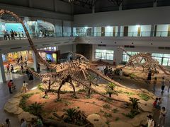 -自贡恐龙博物馆