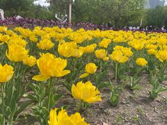 -长春公园(普阳街道)