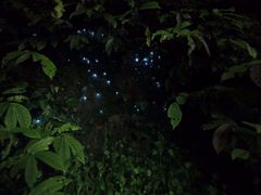 -火星工厂·桌游·团建聚会·轰趴馆(厦滘店)