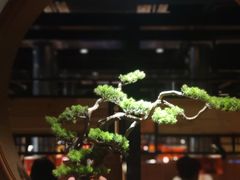 大堂-山之屋炭火烧肉·生啤畅饮(大朗万科中央公园店)