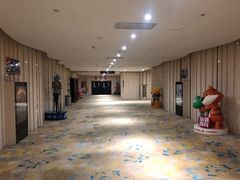 -武汉华夏国际影城(鲁广店)