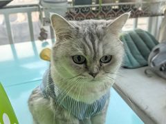 -小时光咖啡馆(北锣鼓巷店)