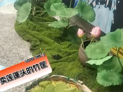 -金茂览秀城
