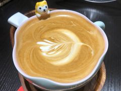 -逗柴咖啡屋·狗咖猫咖宠物桌游