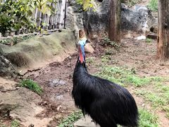 -昆明动物园