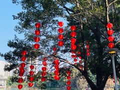 -荔湾湖公园