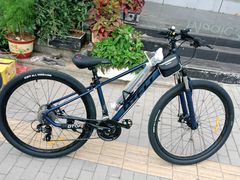 -道路口单车爱瓦士dahon大行