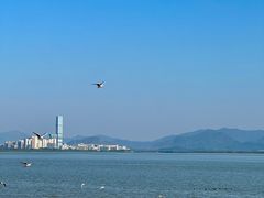 -深圳湾公园(南山区)