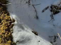 -白马王朗自然风景区