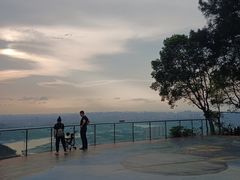 -铁山坪森林公园