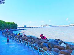 -上海吴淞炮台湾国家湿地公园