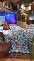 点击看大图 -卡通尼·Safari非洲探索乐园·生日会(金桥国际商业广场店)