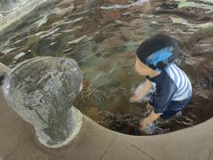 -中家鑫园温泉酒店鑫悦汤泉