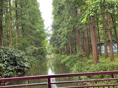 -东平国家森林公园