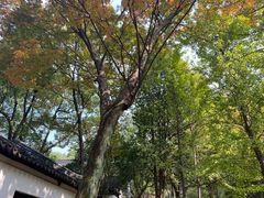 -白马涧龙池景区
