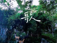 -鹿回头风景区