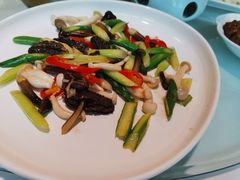 羊肚菌时令炒素-上海小南国(世博源店)
