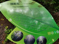 -西双版纳原始森林公园