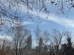 -天鹅湖体育公园