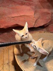 -Zoolung Zoolung动物主题公园(海信广场店)