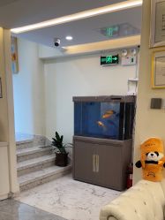 -海涛医疗美容·面部抗衰·注射美鼻