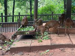 -昆明动物园