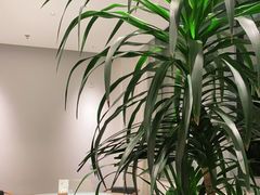 -客汀家宴·客家烟火 四季食材(集美店)