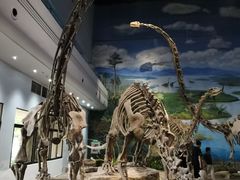 -自贡恐龙博物馆