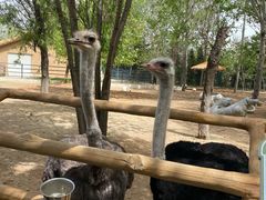 -大连森林动物园