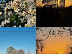 -汉长安城未央宫国家考古遗址公园