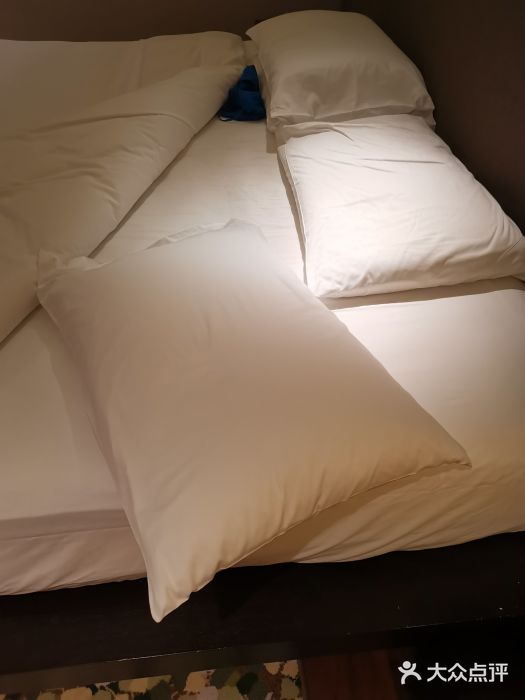 上海崇明金茂凯悦酒店图片