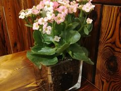 -老即墨路901炸串(台东商业步行街百年国际金街店)