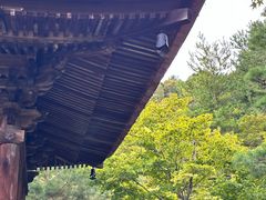 -常寂光寺