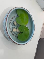 -清疣美疣·痣·斑净肤中心