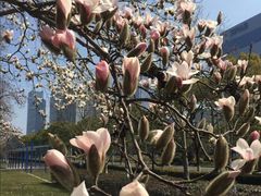 -白塘生态植物园