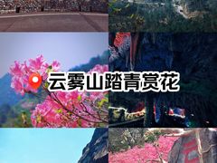 -木兰云雾山