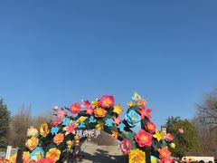 -洛阳市隋唐城遗址植物园