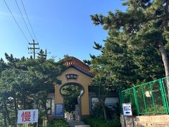 -摩天岭风景区