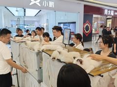 -万达广场(大明宫店)
