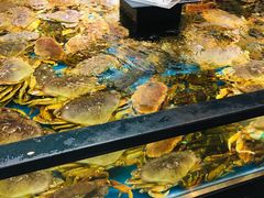 面包蟹-盒马鲜生(宝地店)