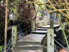 -水濂山森林公园