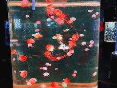 -绿色星球动物主题公园
