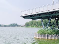 -大兴滨河森林公园