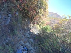 -龙道沟景区