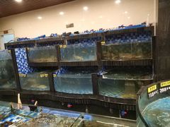 水产区-新塘畔酒楼(里水大道北店)