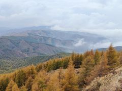 -苏木山森林公园