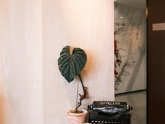 -luutosa  cafe & tea 鹿兔山