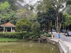 -火炉山森林公园